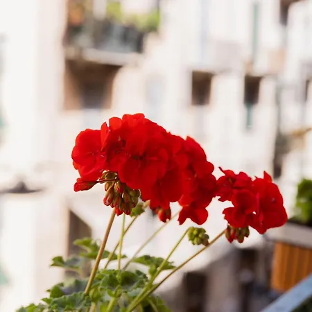 Penzion Casa Di Priam La Spezia