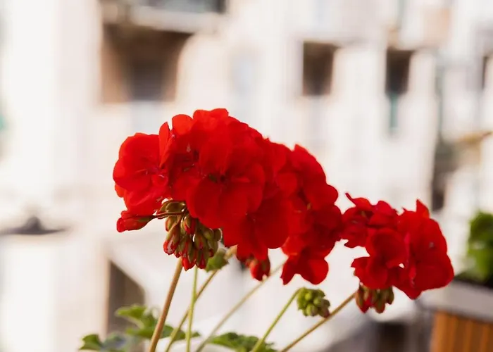 Gasthuis Casa Di Priam La Spezia